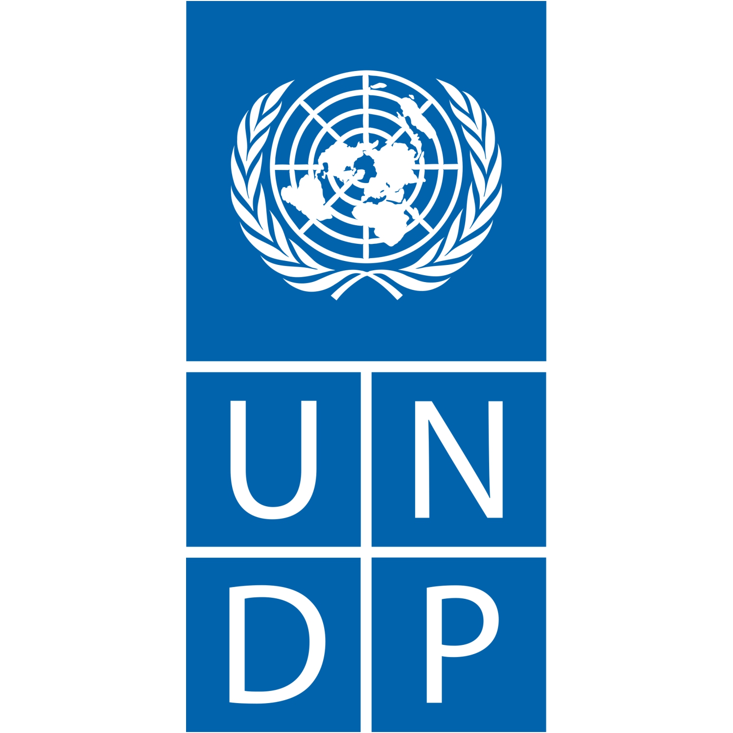 UNITED NATIONS DEVELOPEMENT PROGRAMME