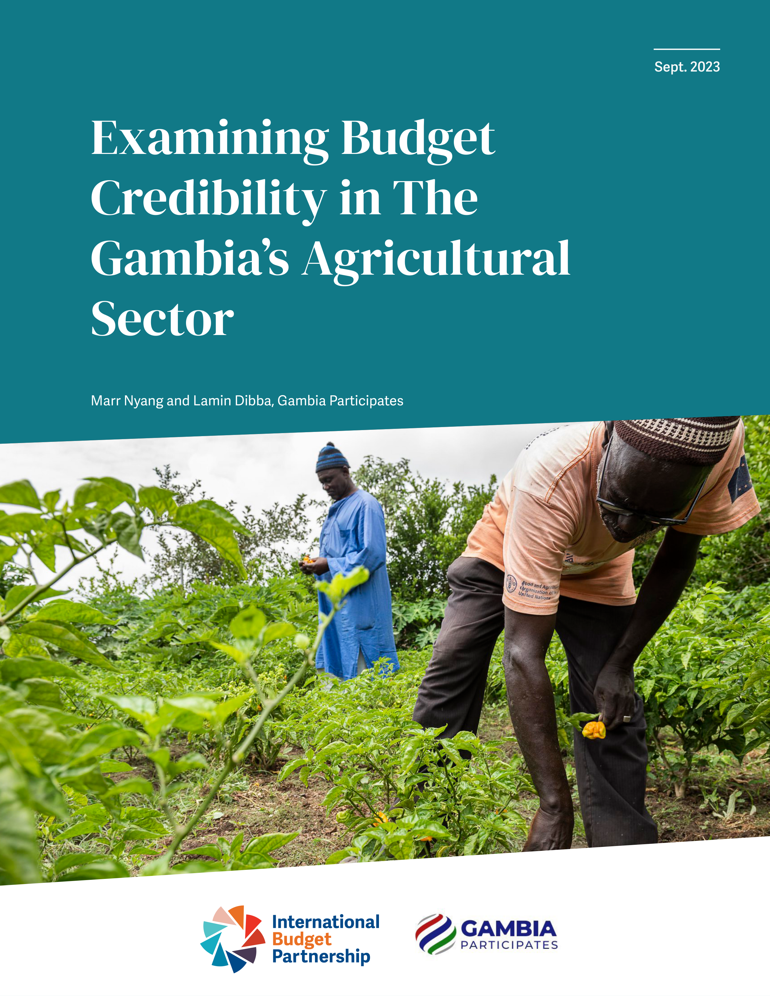 Examining Budget Credibility in The Gambia